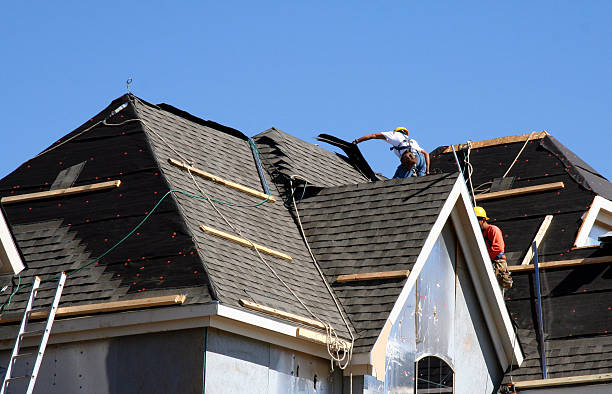 Best Roof Leak Repair  in Orlinda, TN