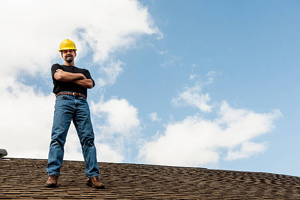Best Gutter Installation and Roofing  in Orlinda, TN